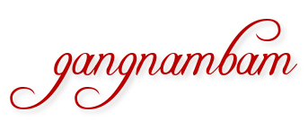 gangnambam.com